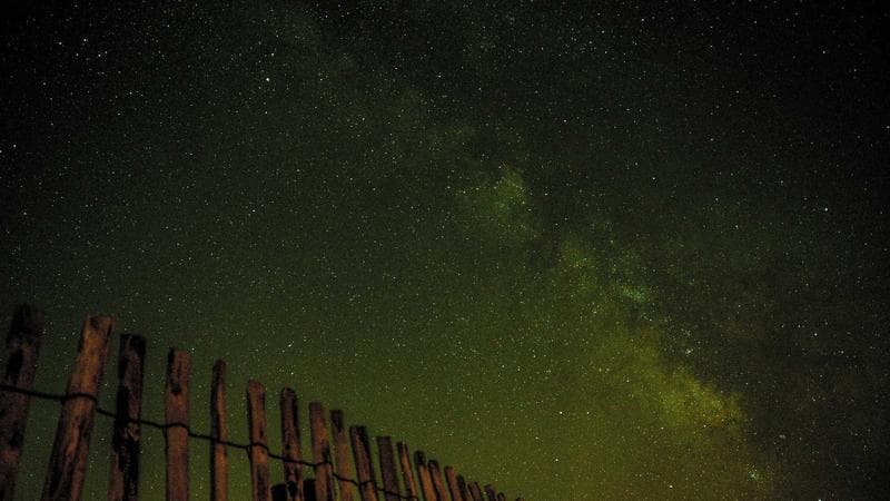 Two chefs cooking in a busy kitchen, steam rising, fast cuts, jazz background music